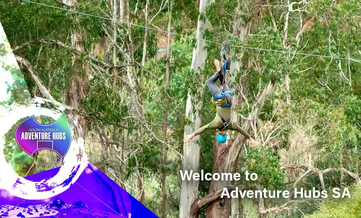 Mount Lofty Adventure Hub