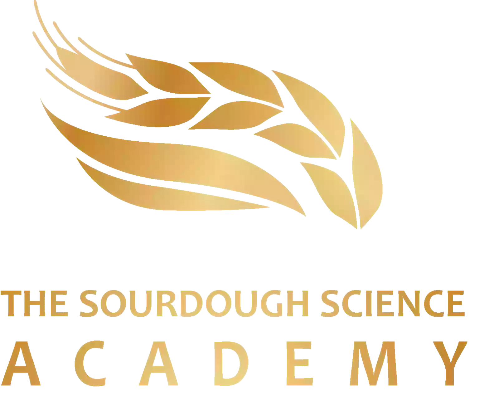 The Sourdough Science Academy