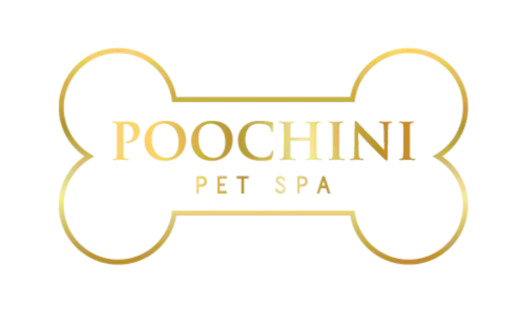 Poochini Pet Spa