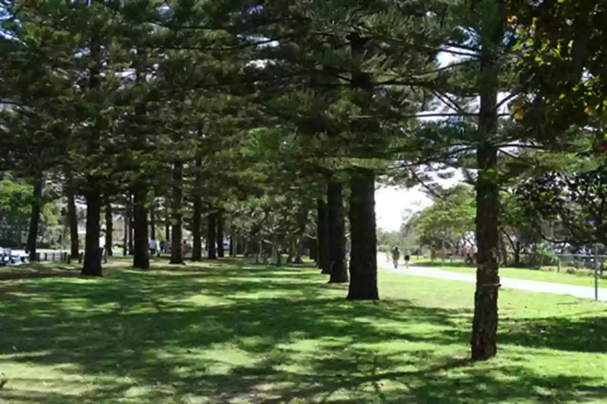 Rotary Park (Burleigh)