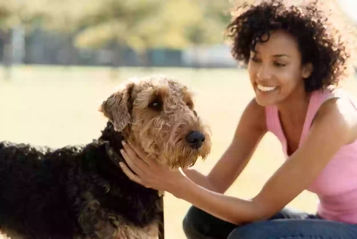 A Caring Touch Dog Grooming