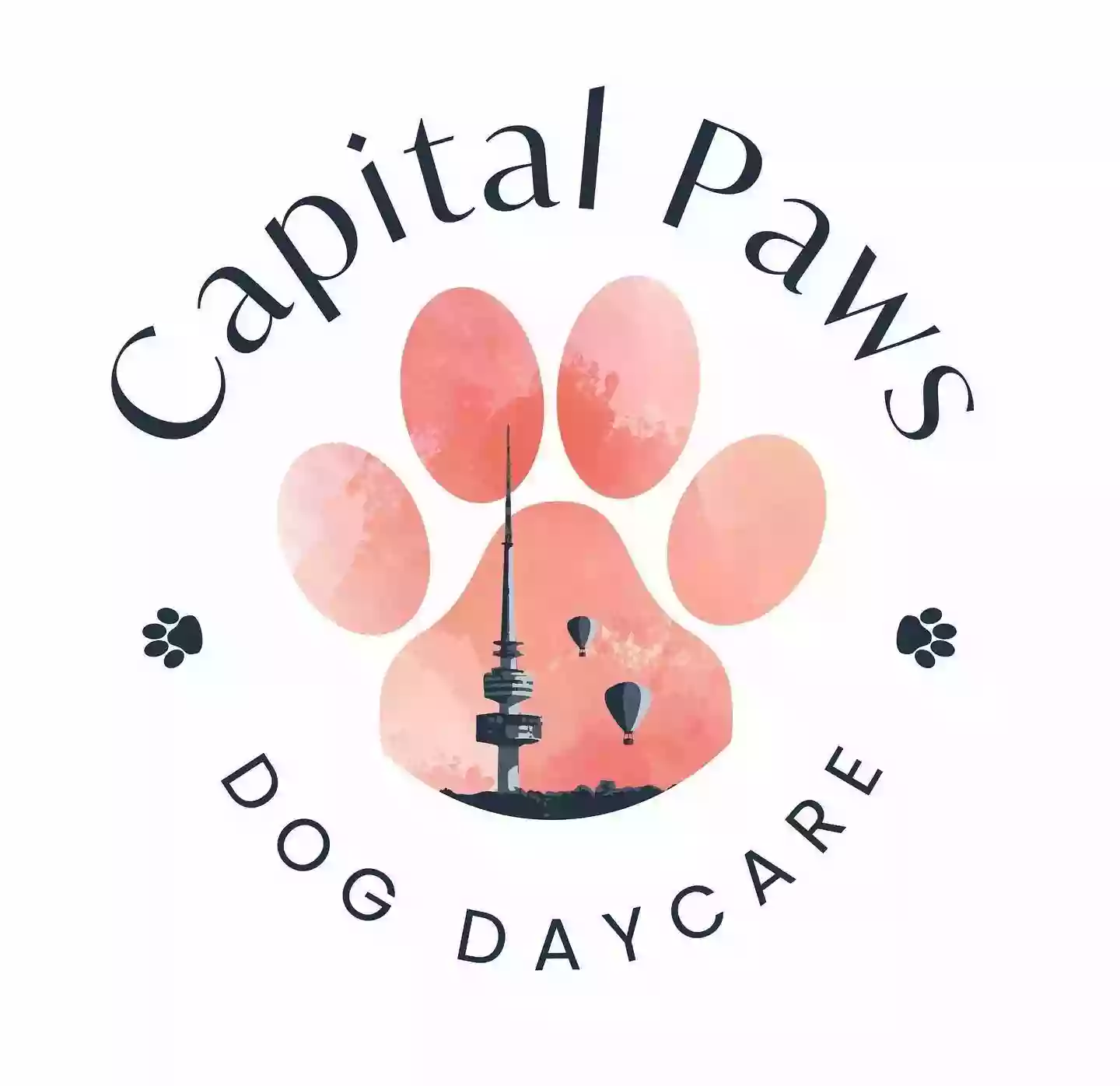 Capital Paws Daycare