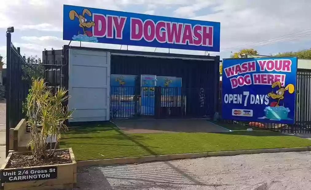 DIY Dog Wash