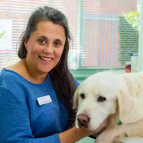 Toukley Veterinary Clinic