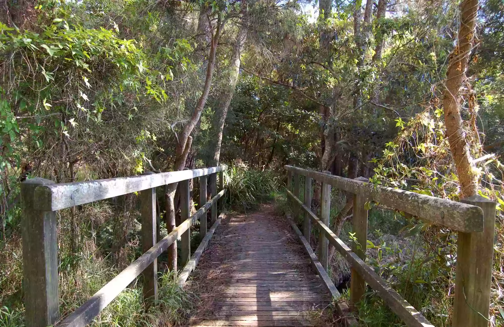 Lake Macquarie State Conservation Area Wangi Wangi