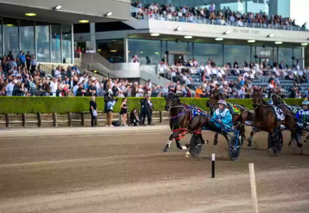 Club Menangle Trackside