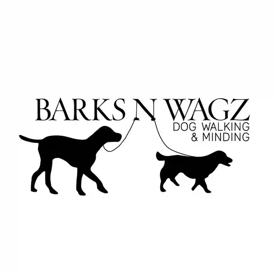 Barksnwagz | Wollongong Dog Walking- Holiday care