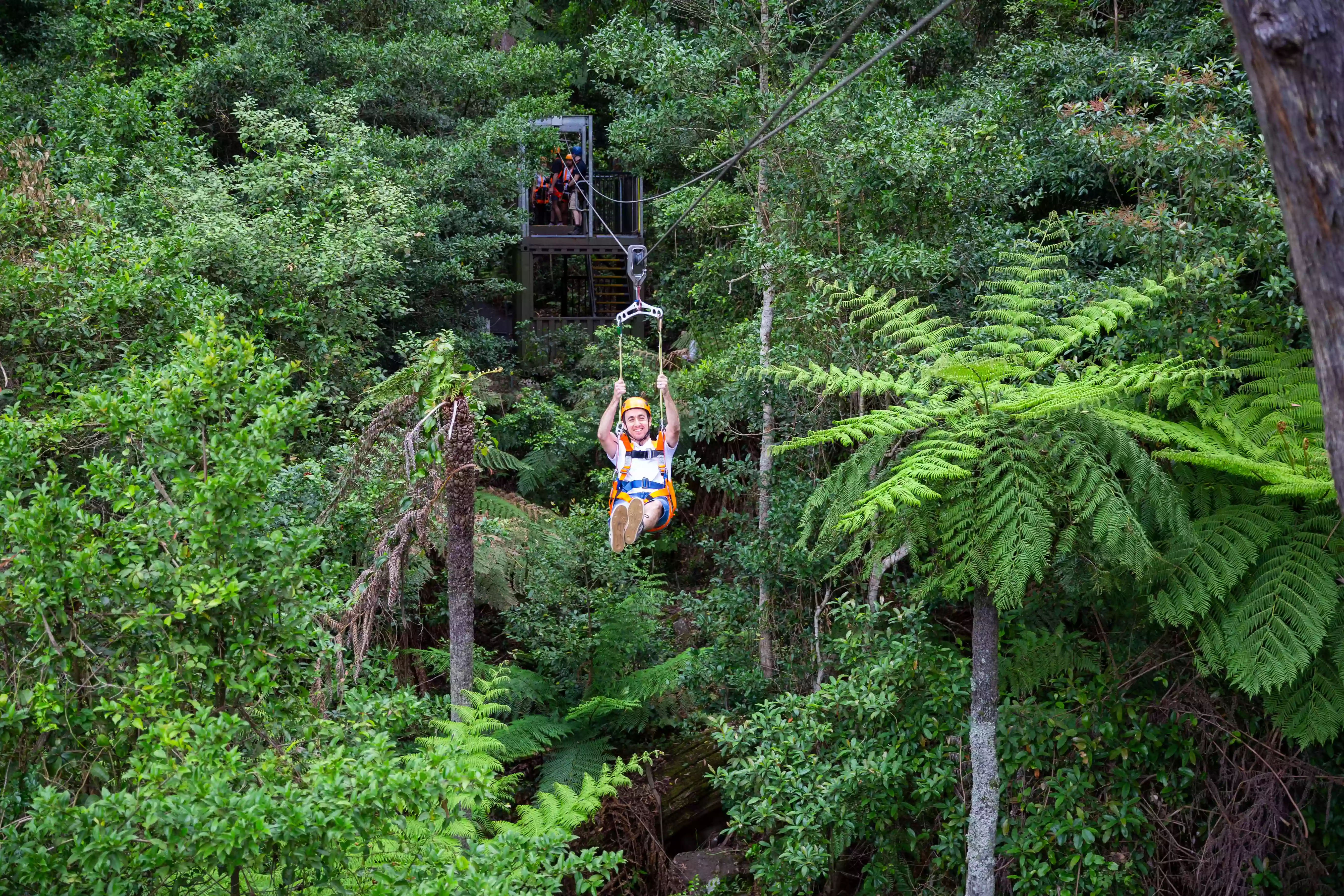 Illawarra Fly Treetop Adventures