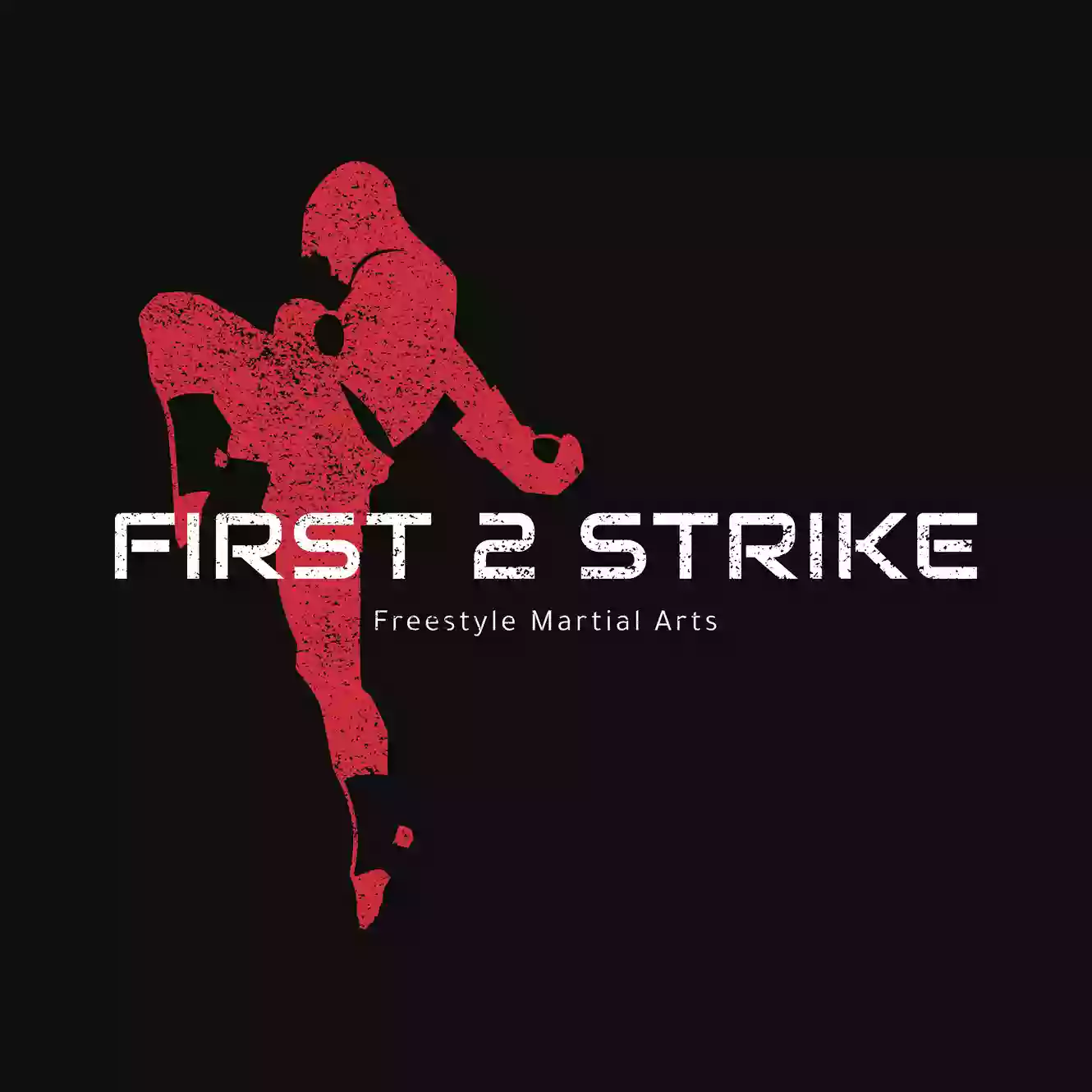 First 2 Strike Freestyle Martial Arts (Martial Arts, Wollongong)