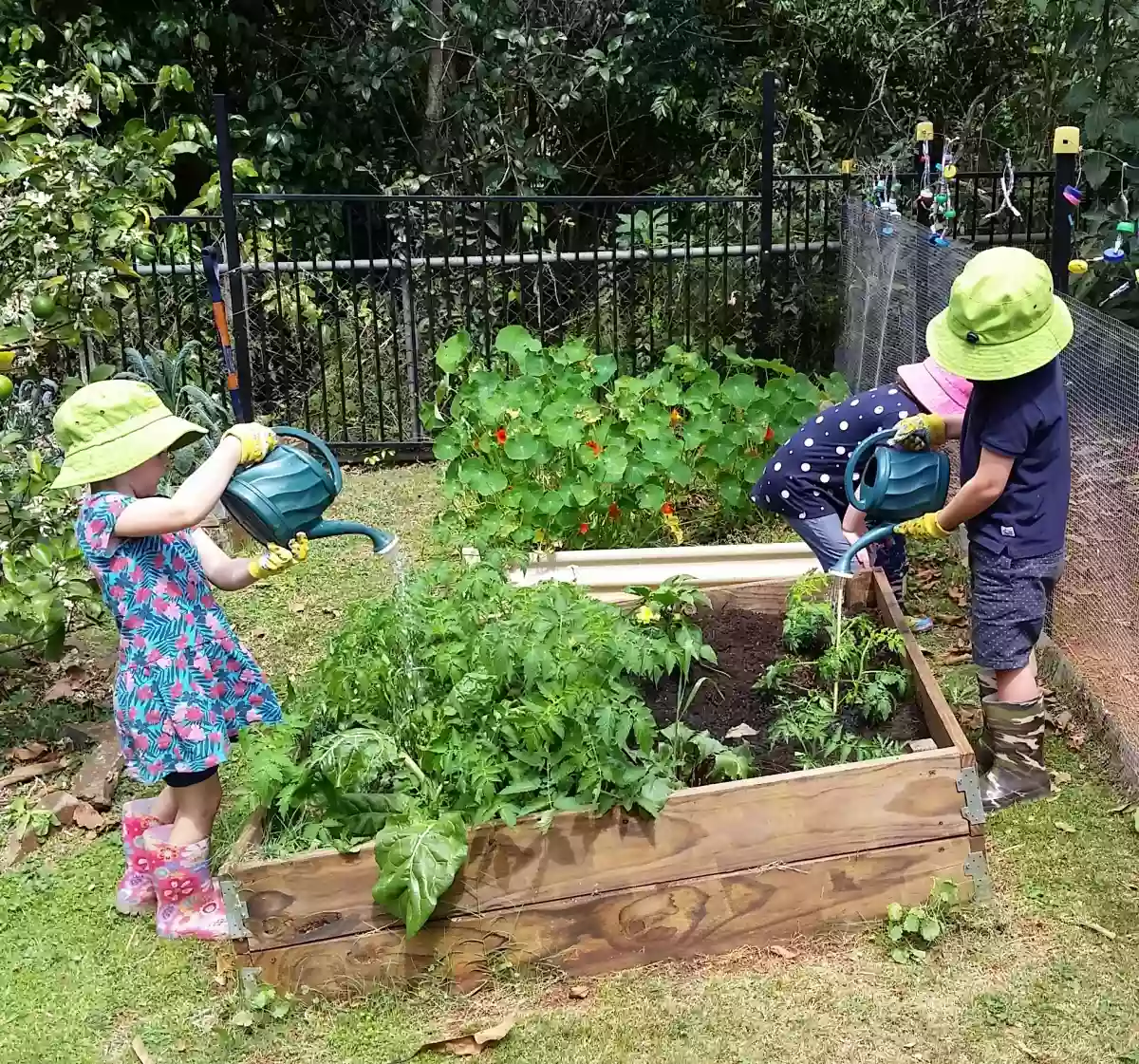 Tamborine Mountain Community Kindergarten