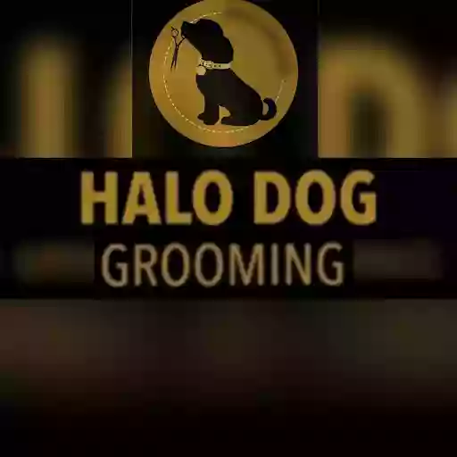 Halo Dog Grooming