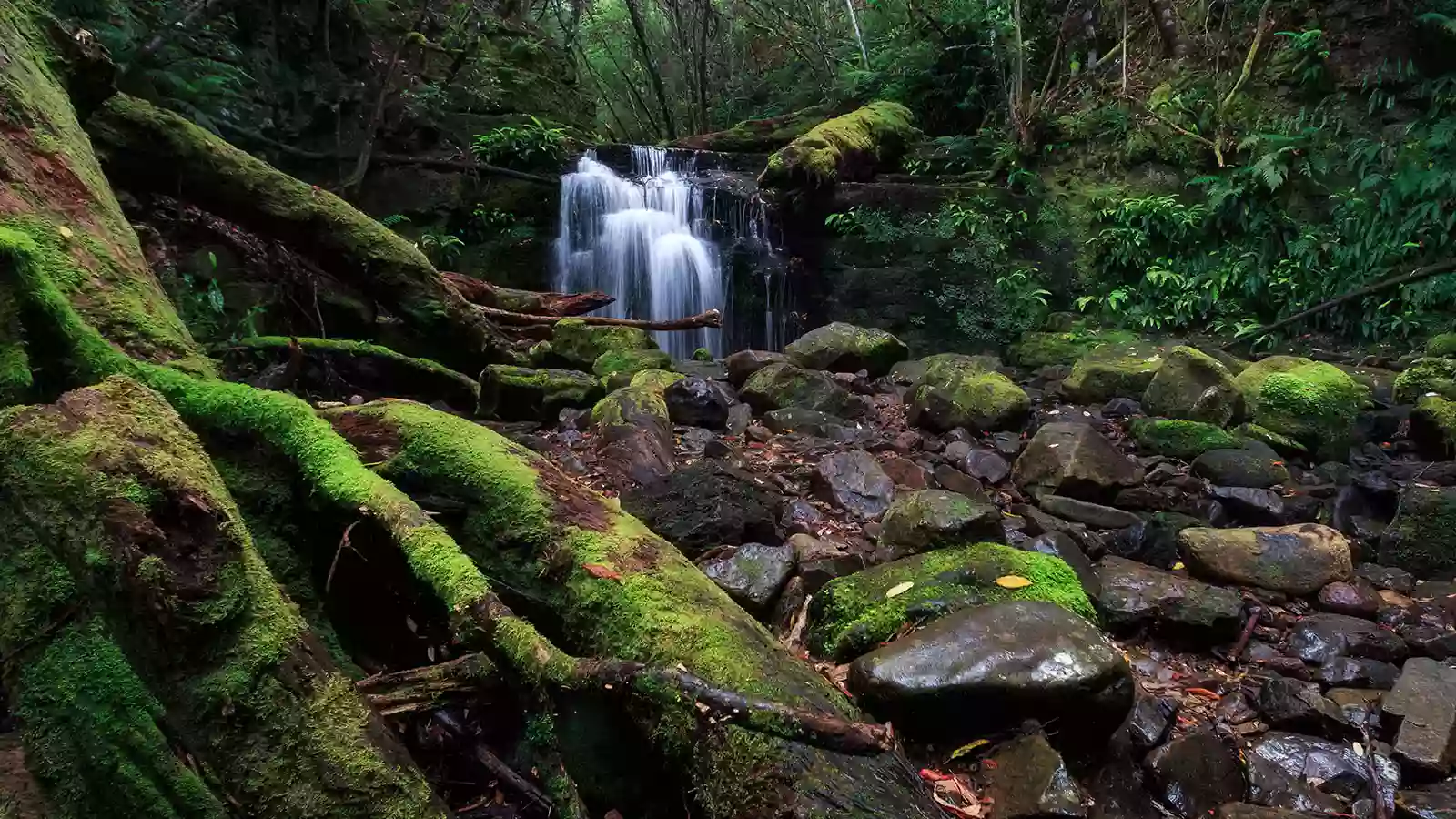 Strickland Falls