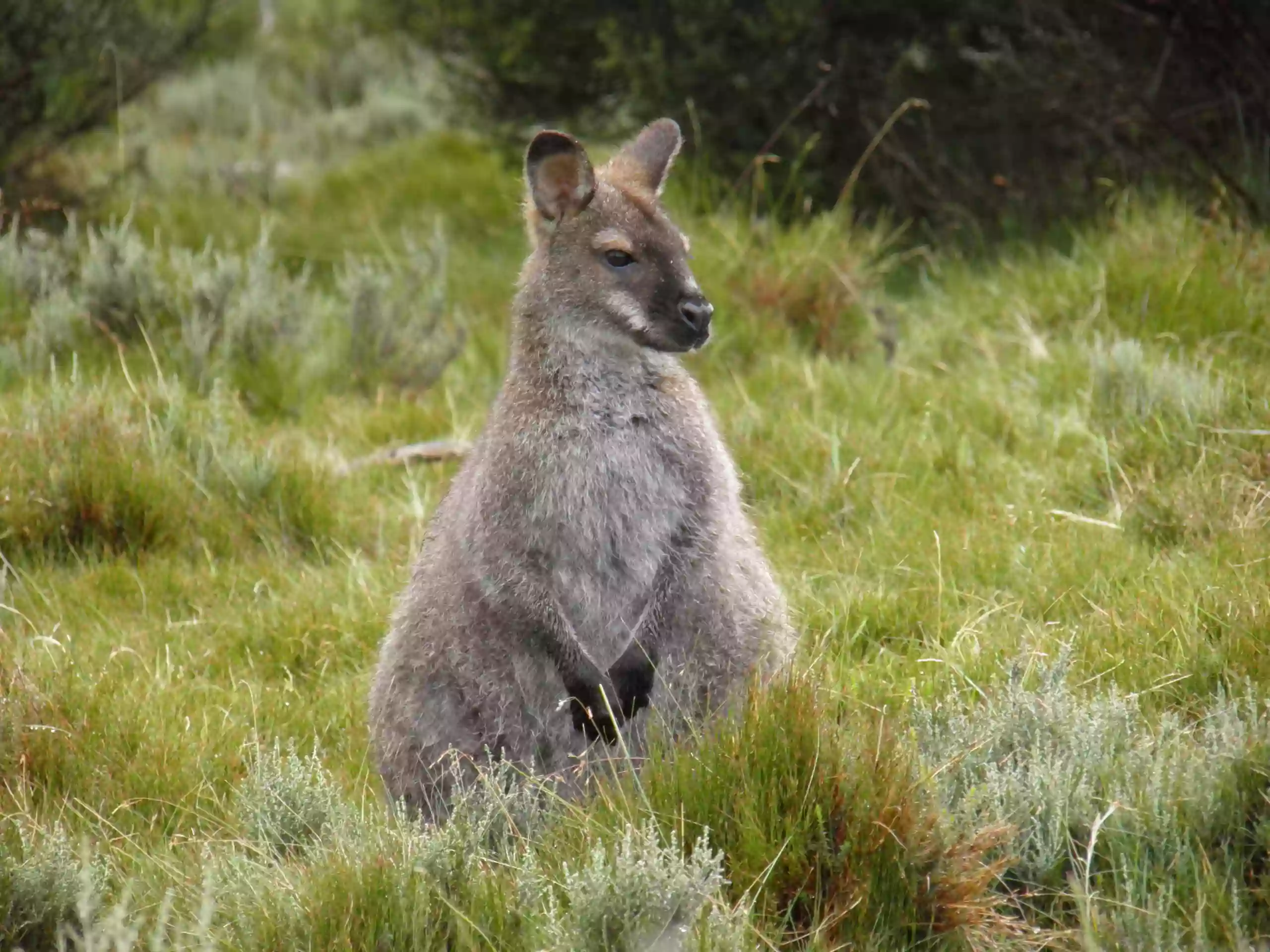 Under Down Under Tours