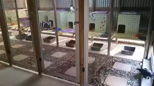 Cat's Cattery Cat Boarding Facility.