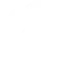 Flying Fox Fabrics