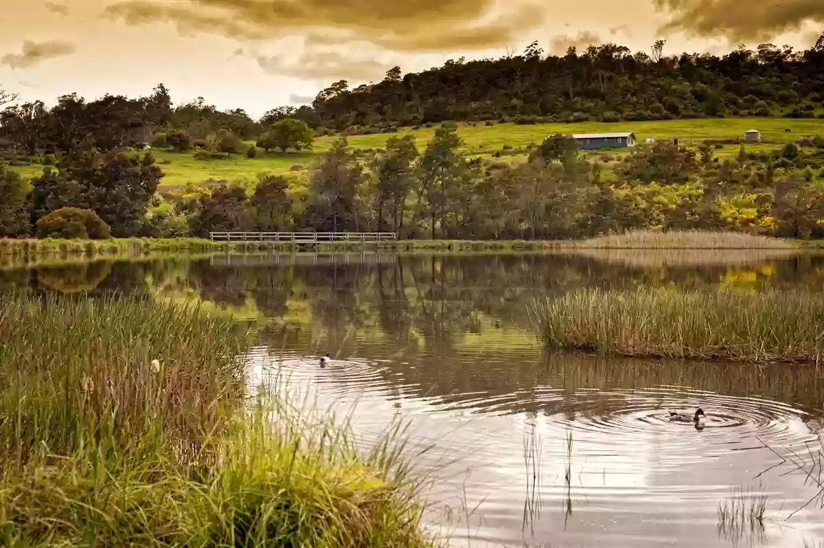 Waverley Lake Park