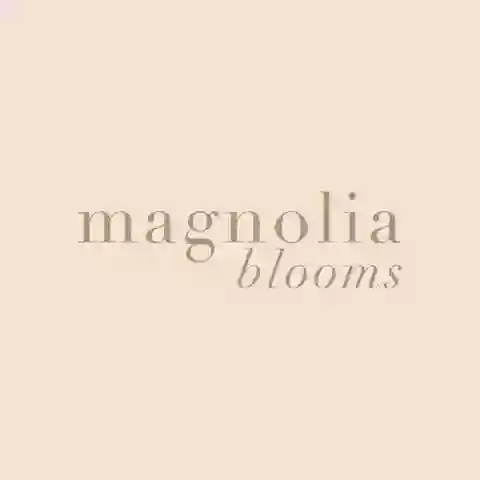 Magnolia Blooms