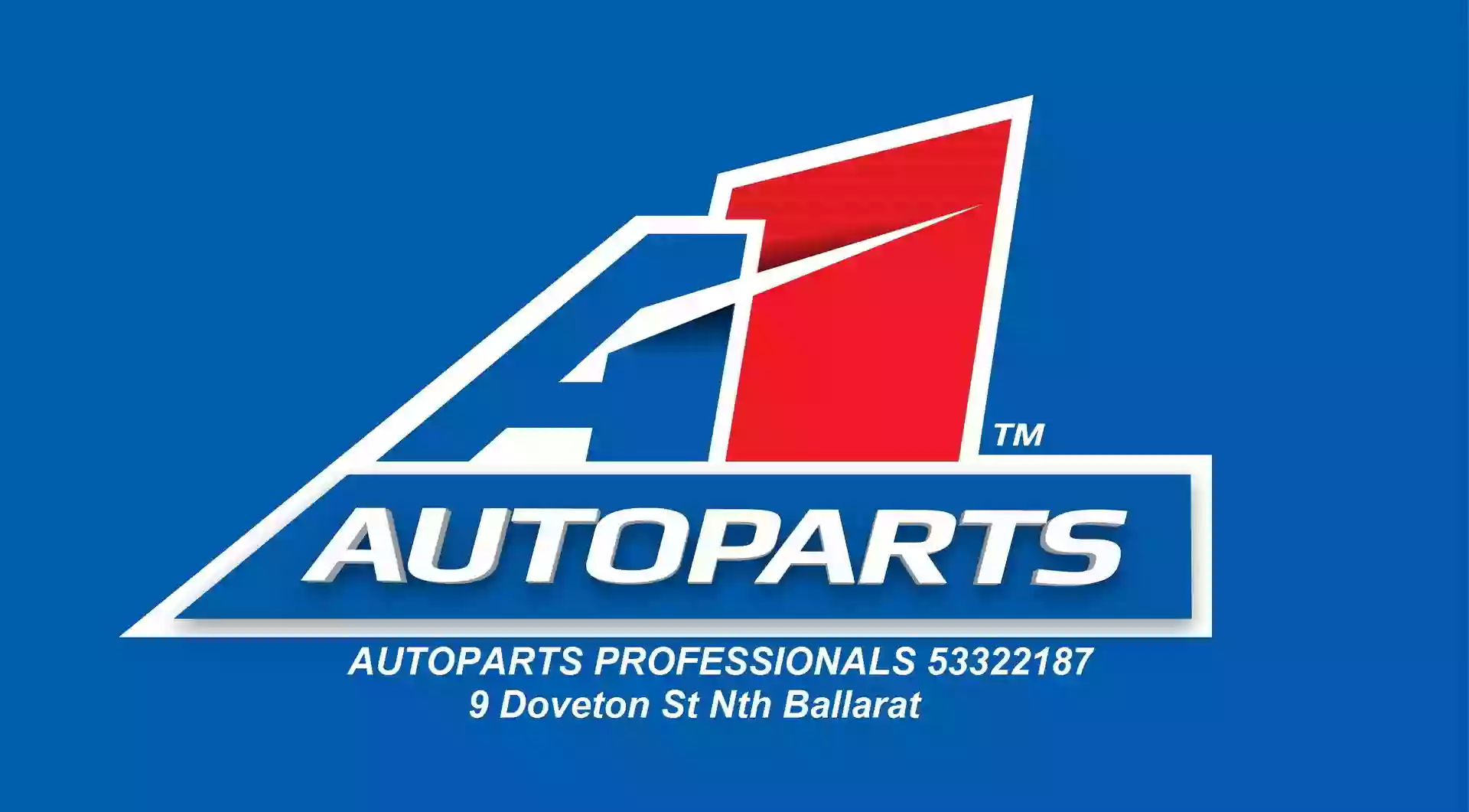 Auto Parts Professionals