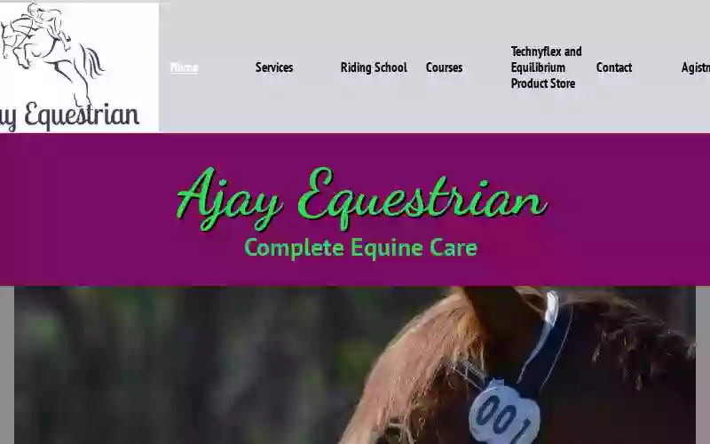 Ajay Equestrian