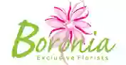 Boronia Exclusive Florists