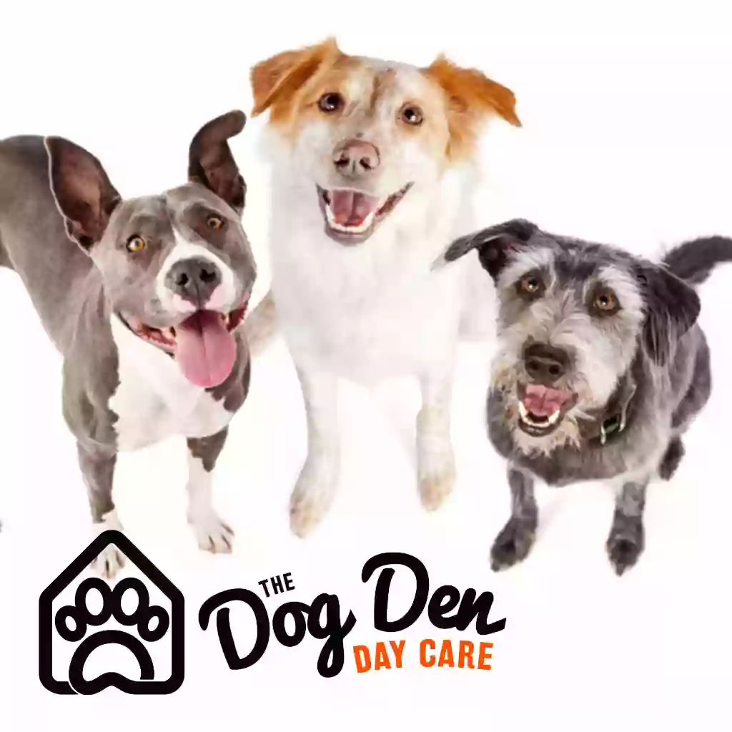 The Dog Den - Dog Day Care Takapuna