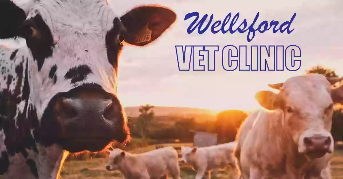 Wellsford Veterinary Clinic