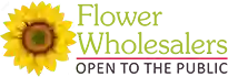 Flower Wholesalers - Takapuna