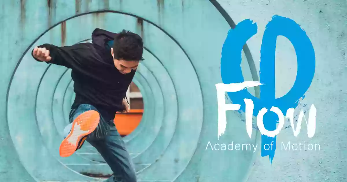 Flow - Academy Of Motion | Albany