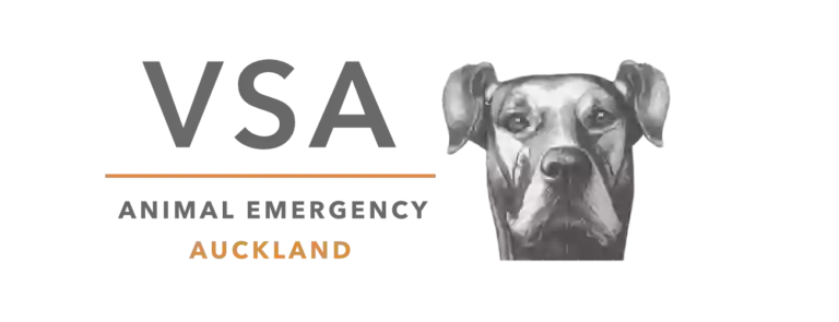 Animal Emergency at VSA