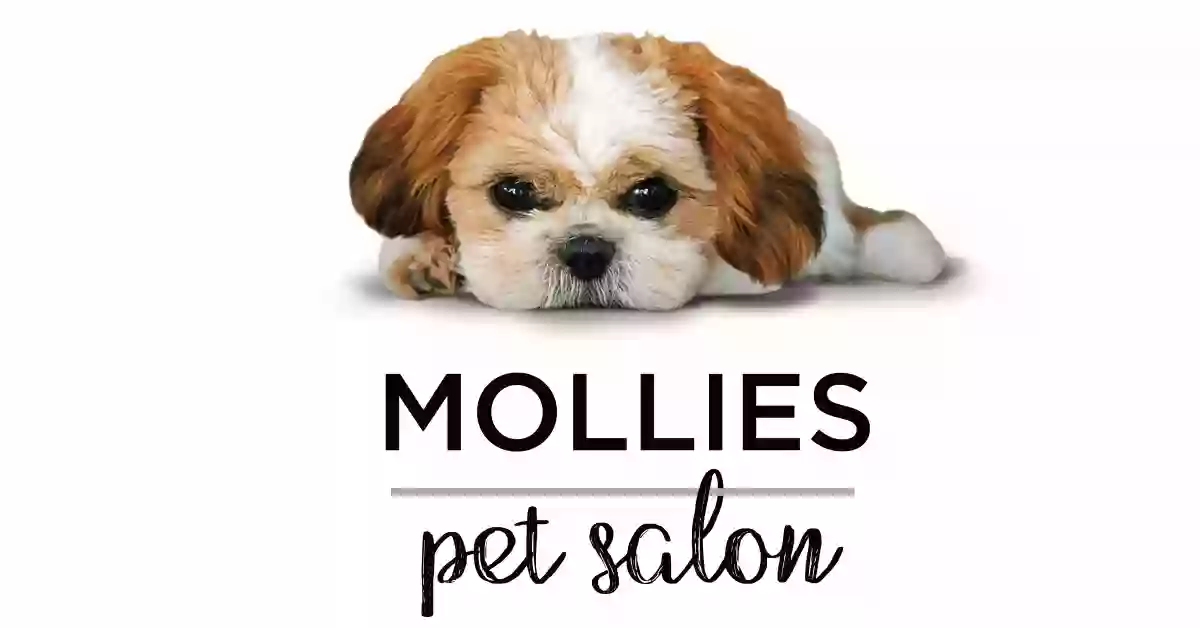 Mollies Pet Salon