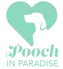 Pooch in Paradise - Loving Dog Grooms, Walks, Stays - Waiheke