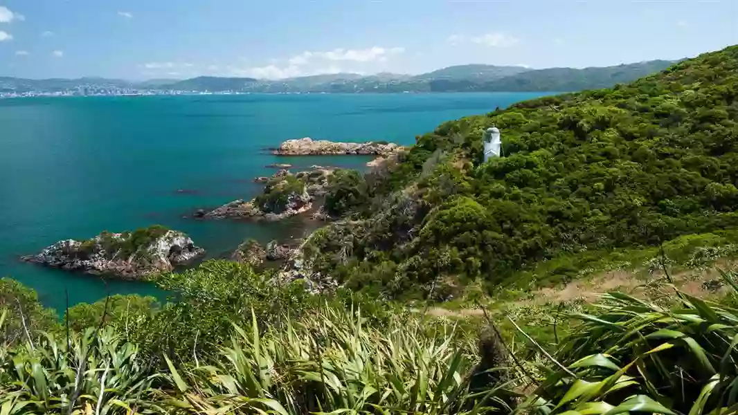 Matiu/Somes Island