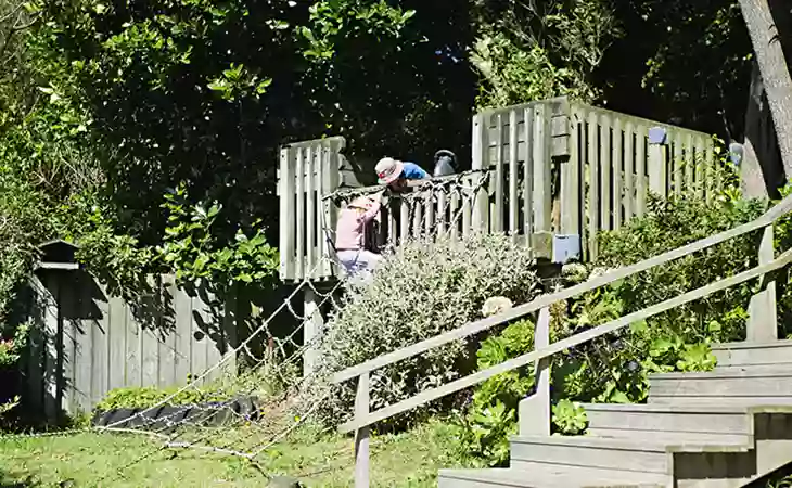 Pukerua Bay Kindergarten