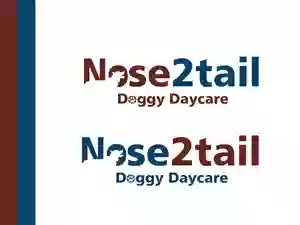 Nose2tail Doggy Daycare