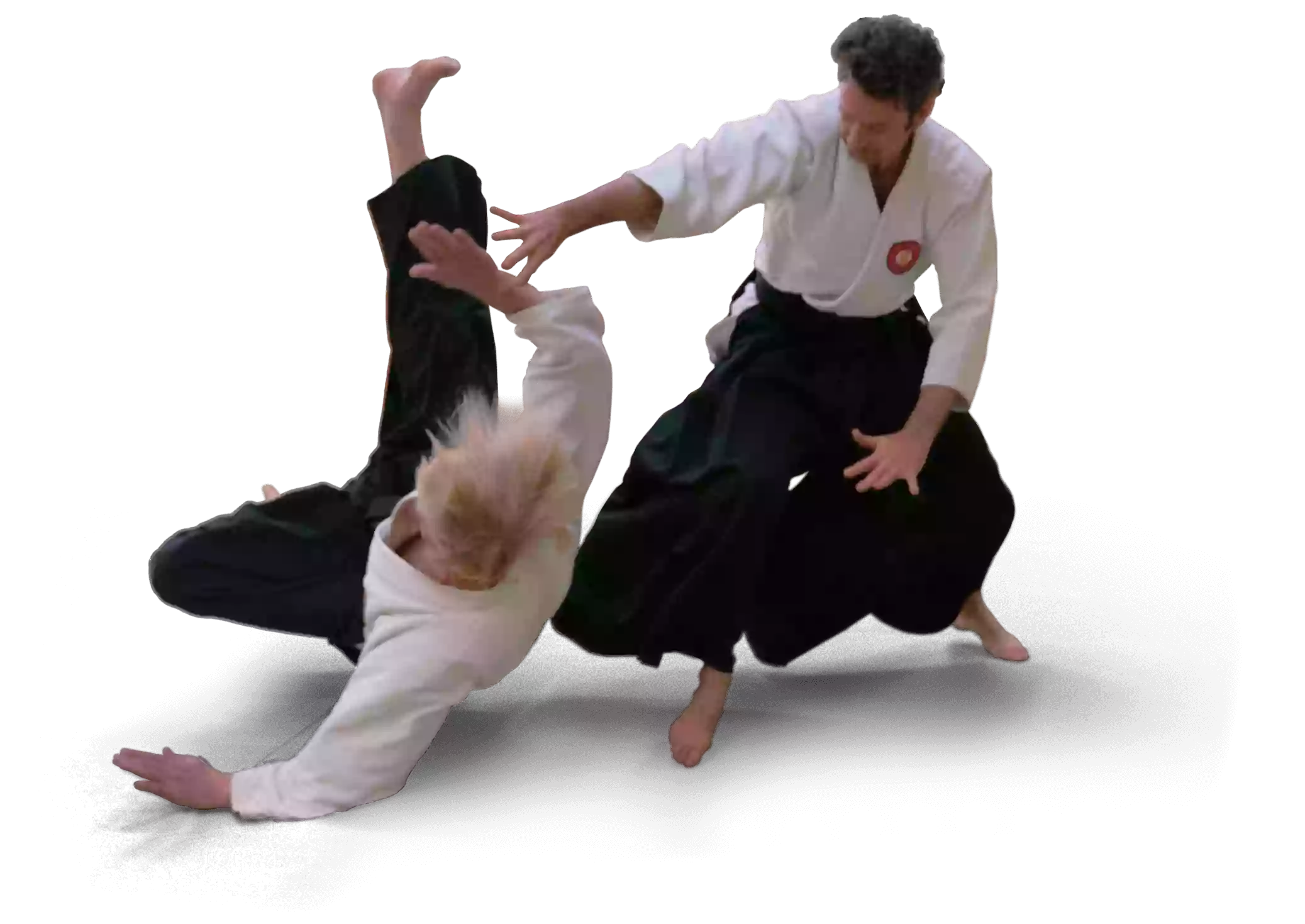 Riai Aikido Wellington