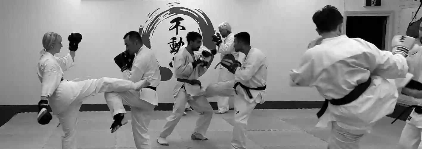 Poneke Kyokushin Karate Dojo