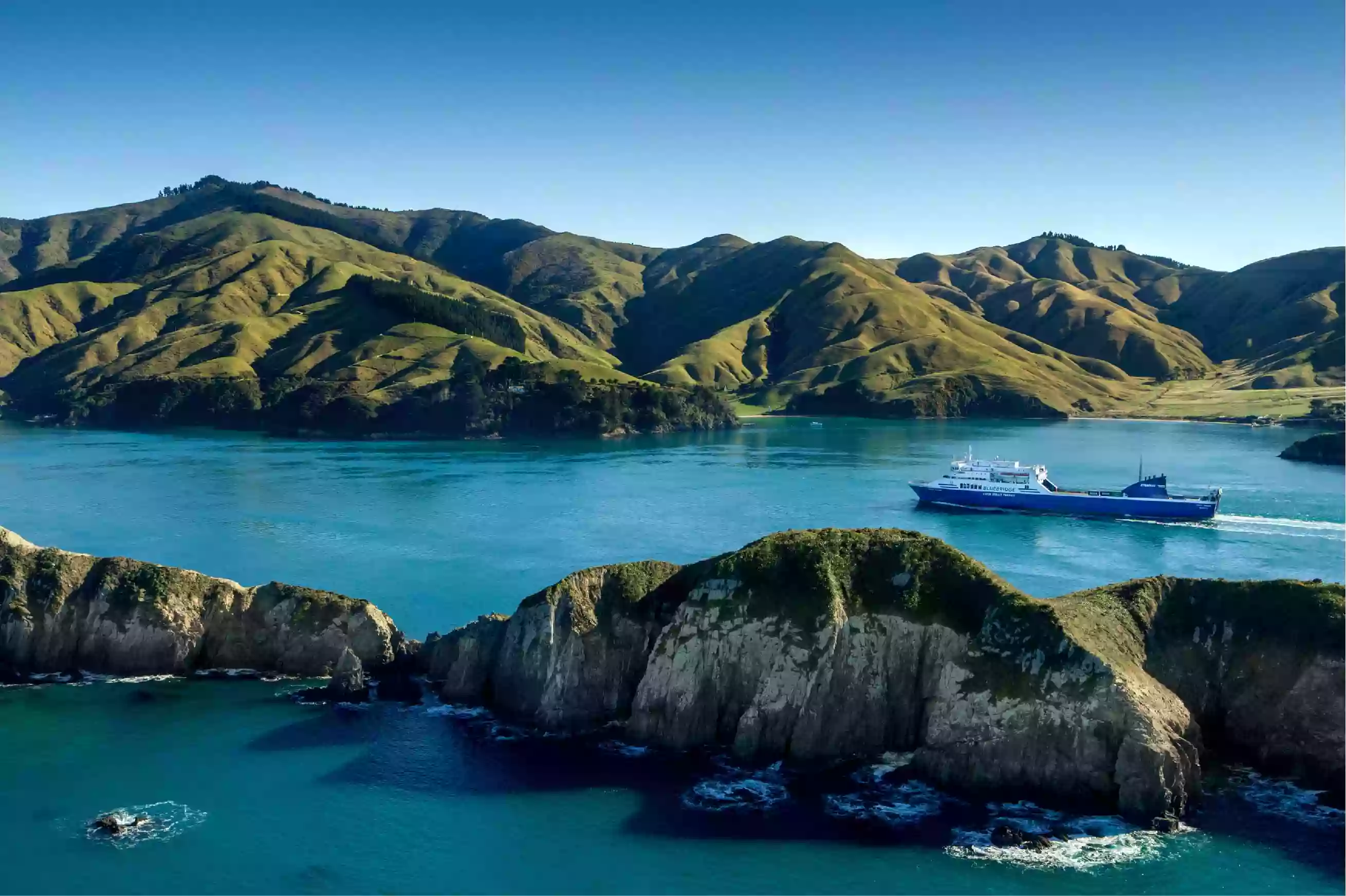 Bluebridge Cook Strait Ferry Wellington Terminal