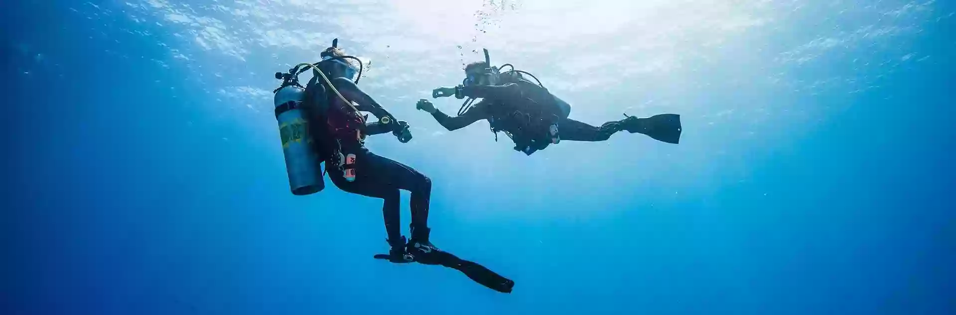 New Zealand Sea Adventures