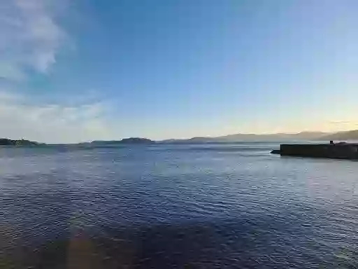 Petone Beach Dog Exercise Zone