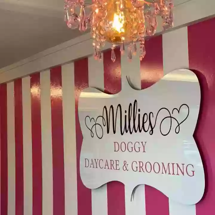 Millie's Doggy Daycare & Grooming