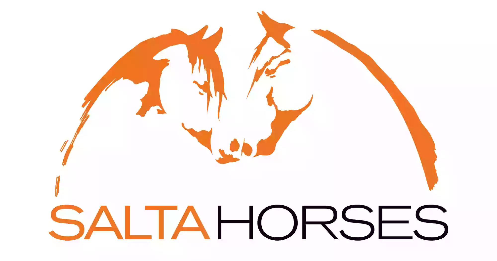 Salta Horses