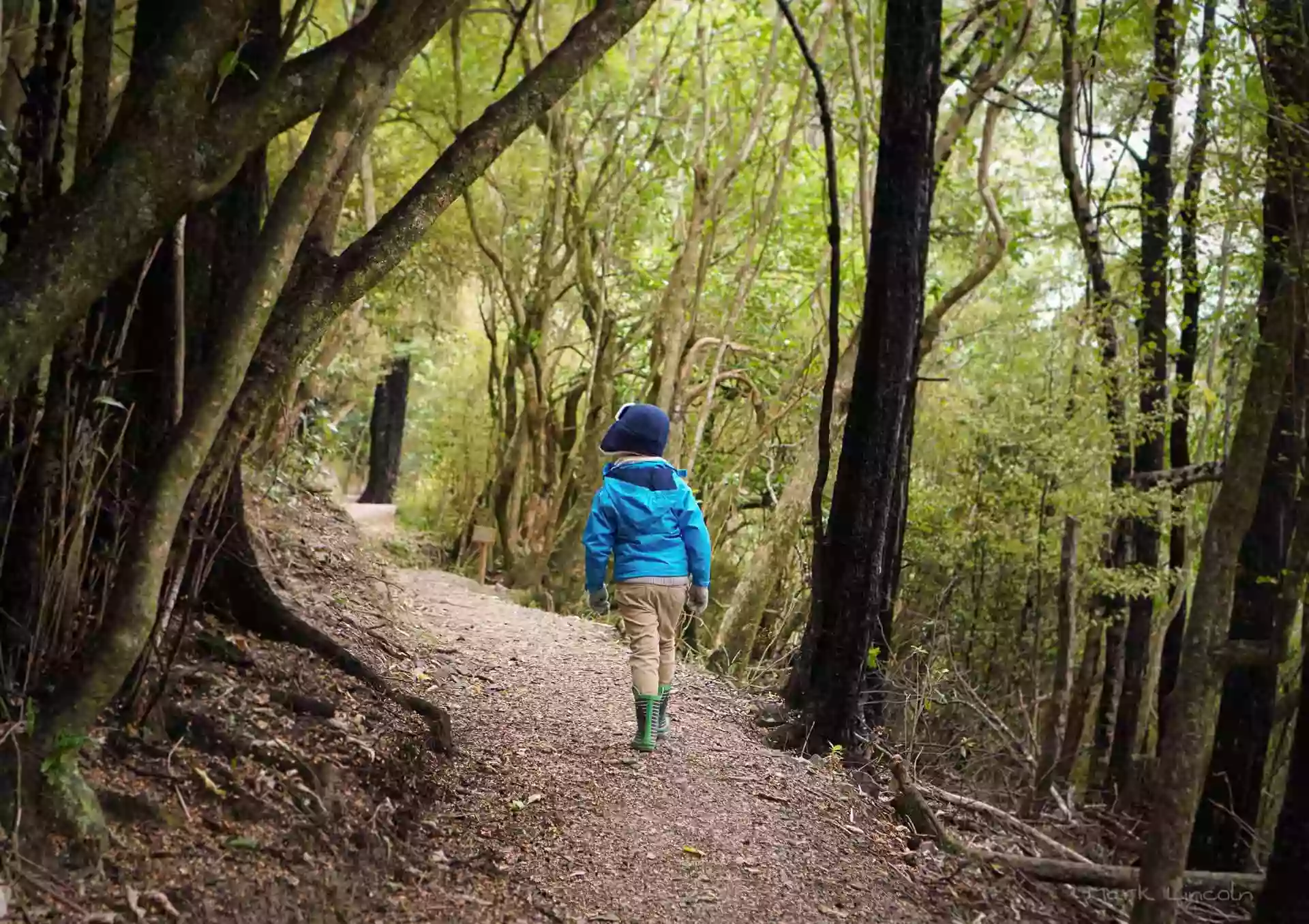 Ashley Gorge Loop Track