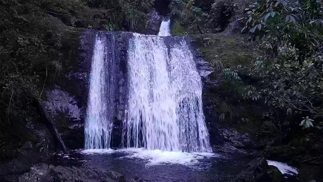 Ryde Falls
