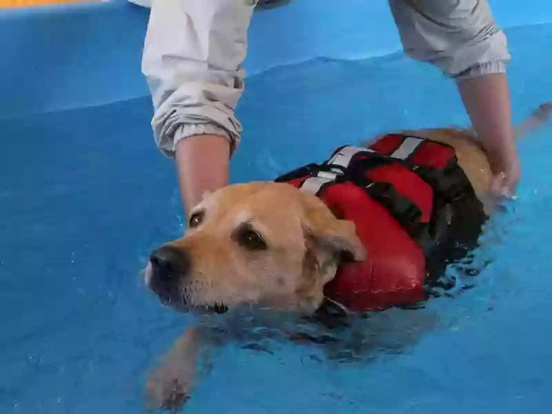 Dexter's Hydrotherapy