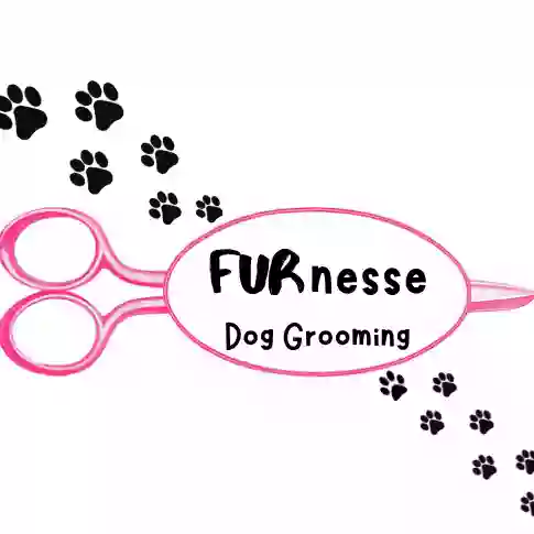 Furnesse Dog Grooming