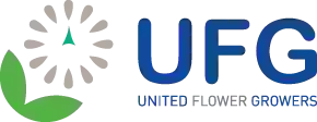 United Flower Growers Christchurch