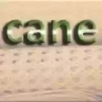 The Cane Company