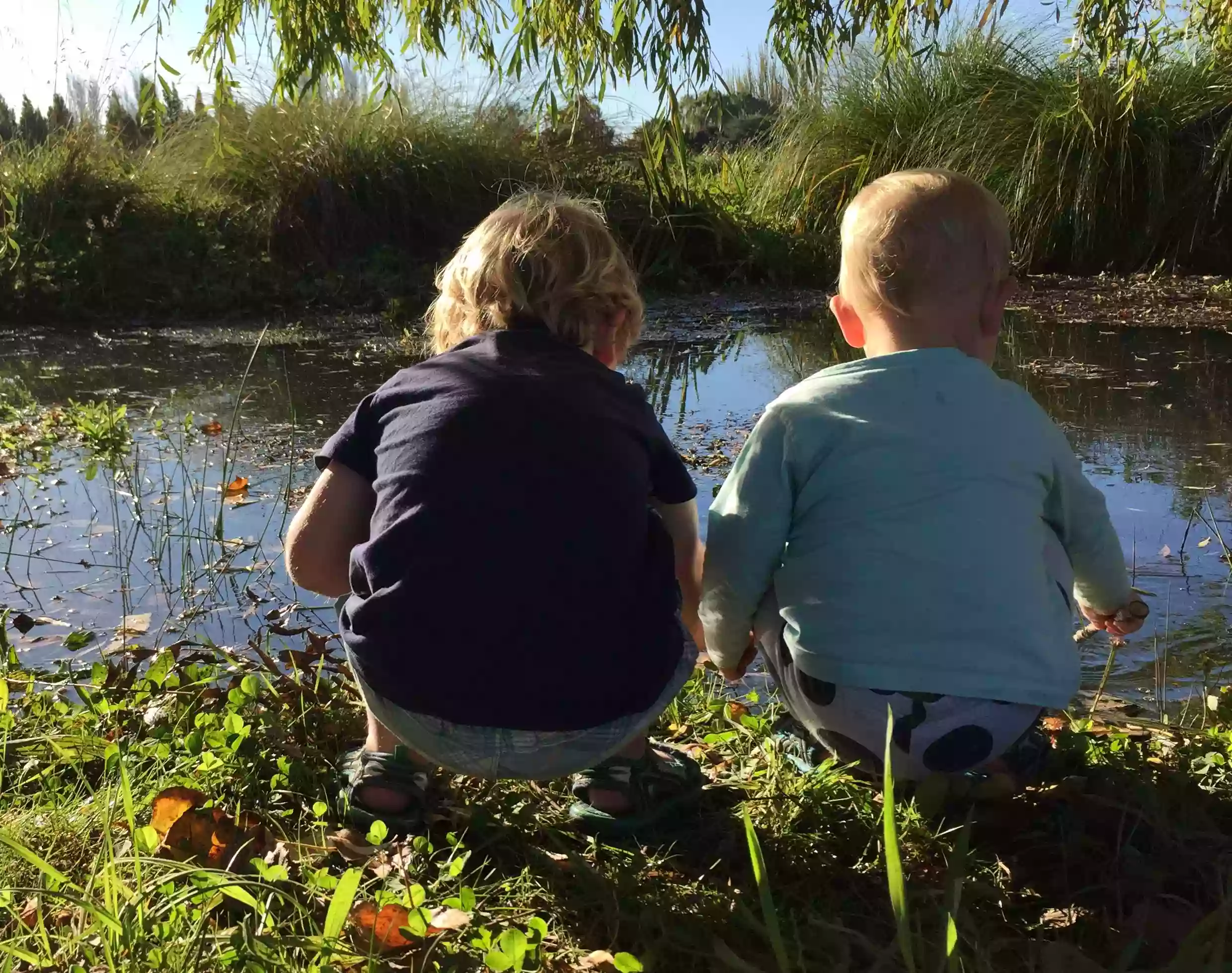 Little Kiwis Nature Play