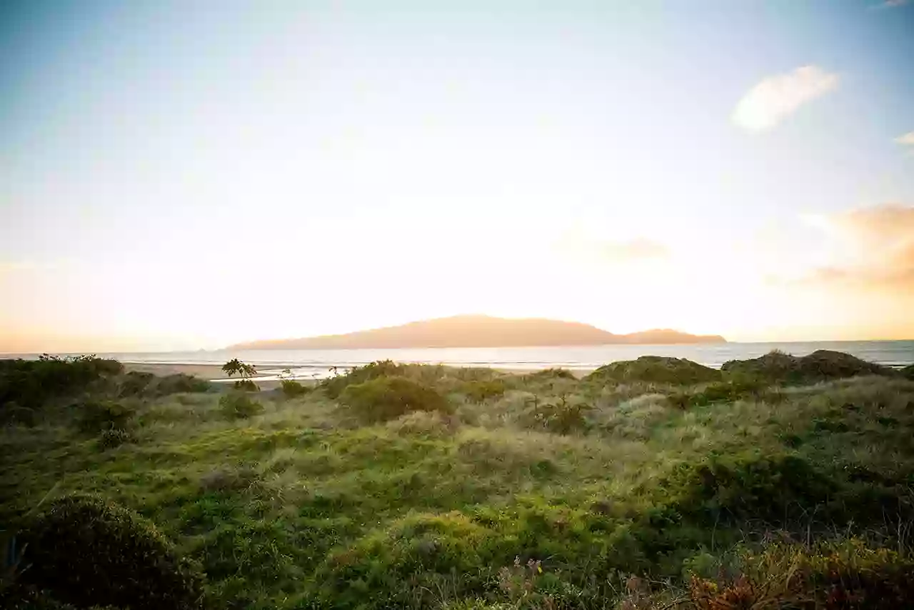 New Zealand Shores Immigration Advisers