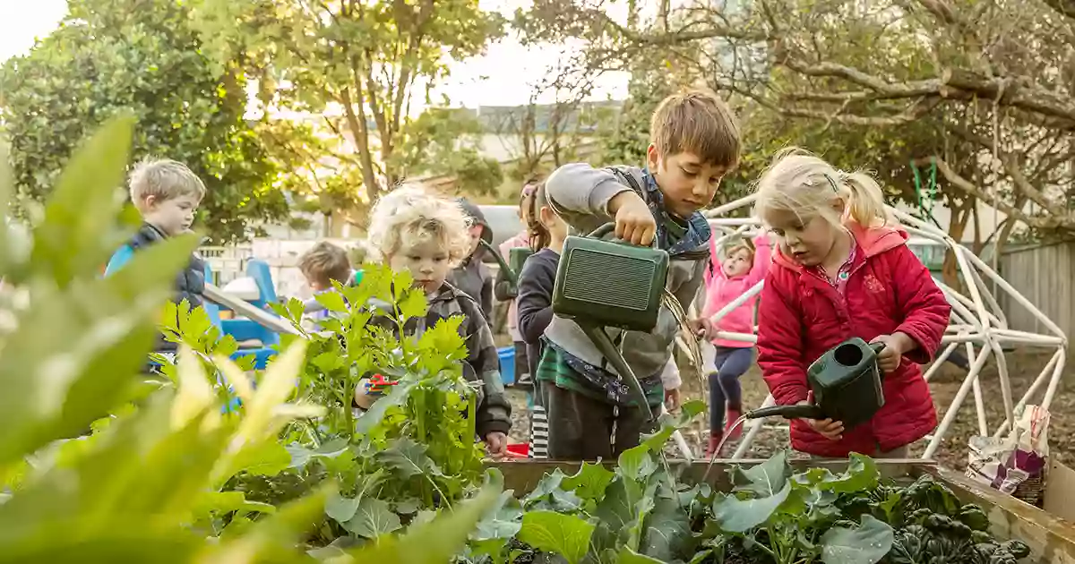 Barnardos Early Learning Centre Te Rapa